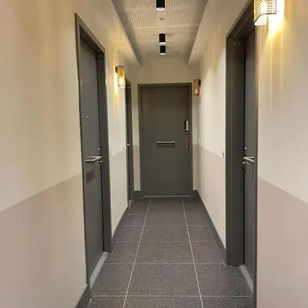 Palais Riviera Climatise Vieux Apartment *